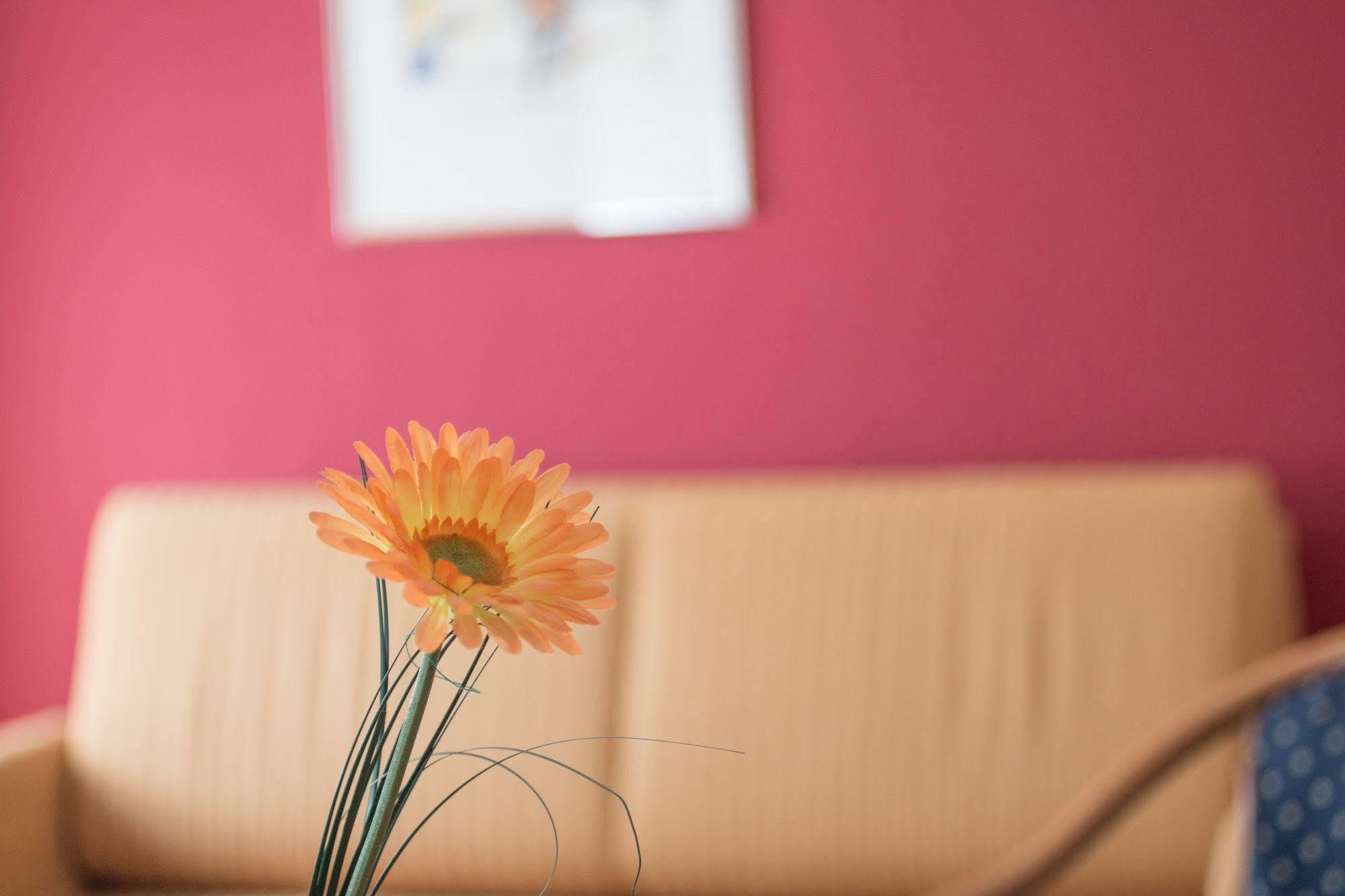 City Hotel Freiburg 3*