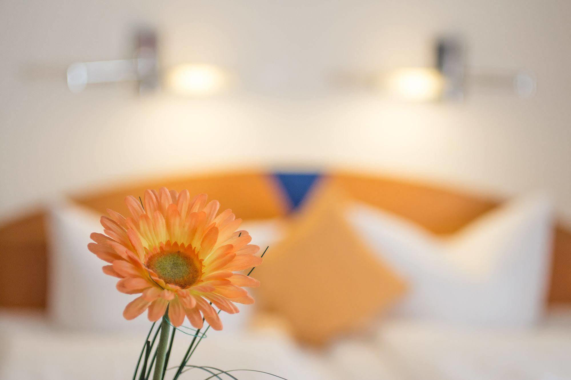 Hotel City Hotel Freiburg Freiburg im Breisgau